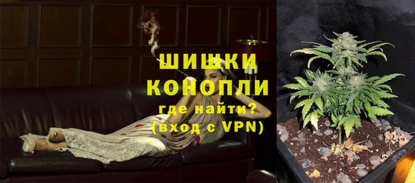 сатива Болотное
