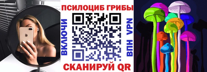 KRAKEN вход  Луга  Галлюциногенные грибы Psilocybe 